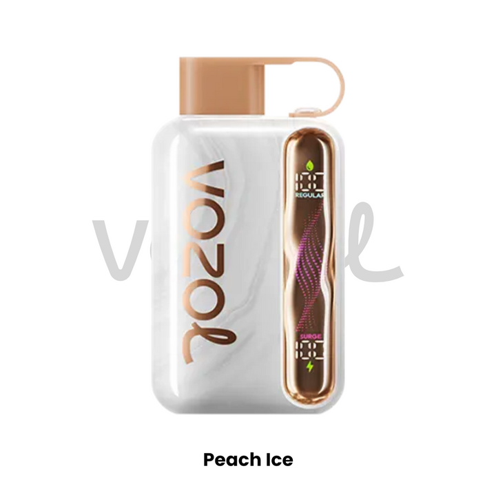 VOZOL STAR 40000 PUFFS DISPOSABLE (50mg)