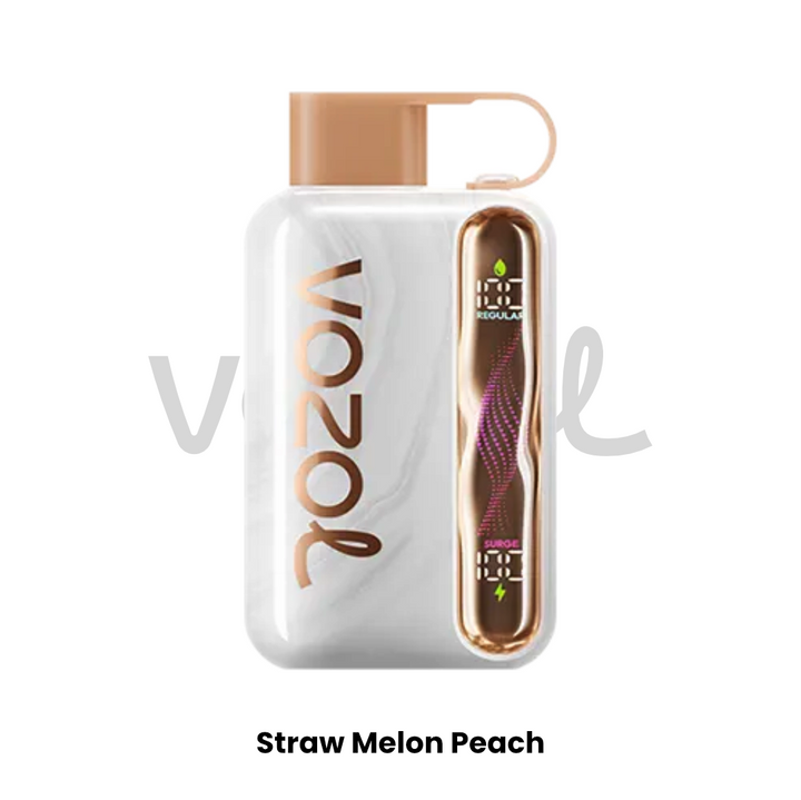 VOZOL STAR 40000 PUFFS DISPOSABLE (50mg)