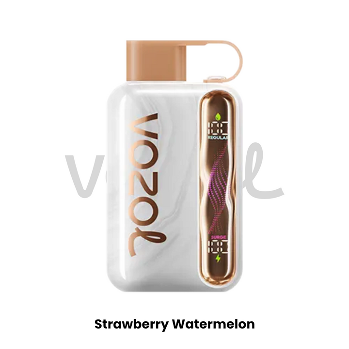 VOZOL STAR 40000 PUFFS DISPOSABLE (50mg)