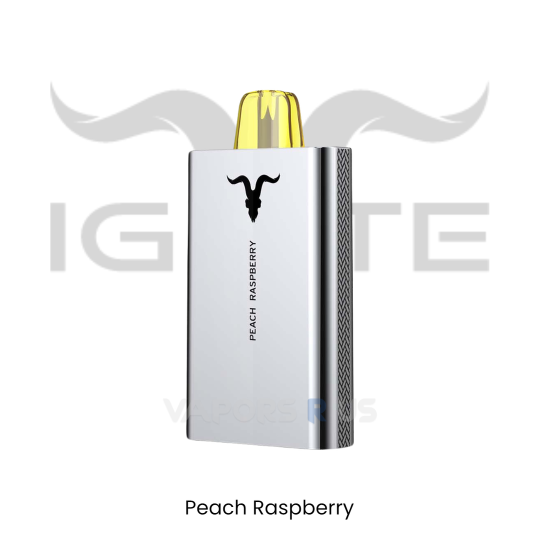 IGNITE - V50 5000+ Puffs Disposable Vape Pen