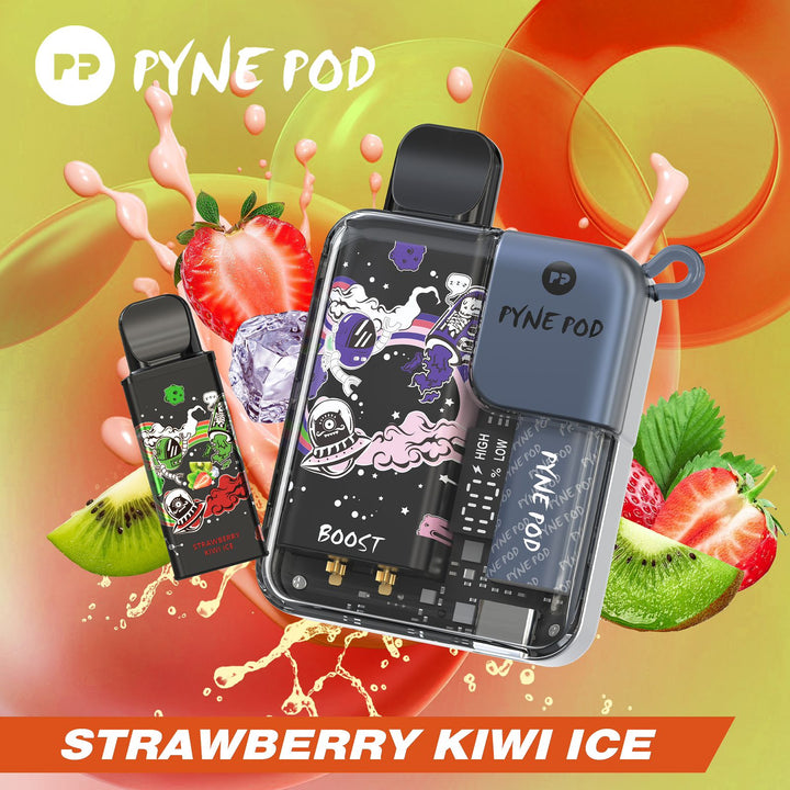 PYNE POD - DISPOSABLE KIT PODS (8000 PUFFS)