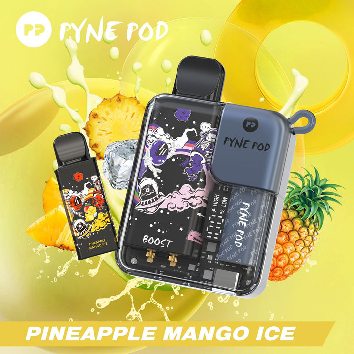 PYNE POD - DISPOSABLE KIT PODS (8000 PUFFS)