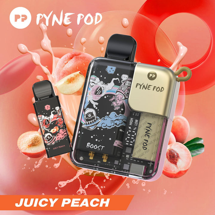 PYNE POD - DISPOSABLE KIT PODS (8000 PUFFS)