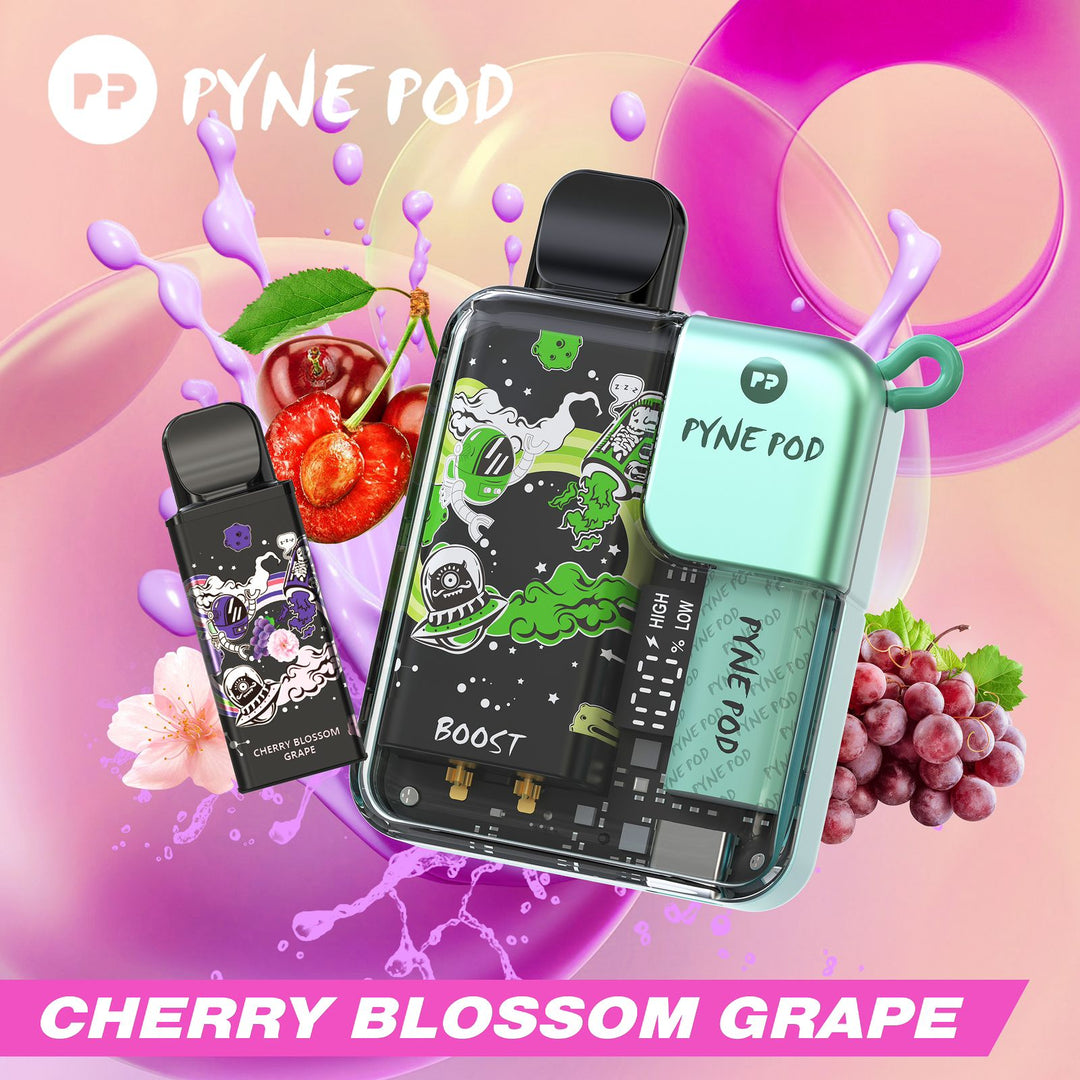 PYNE POD - DISPOSABLE KIT PODS (8000 PUFFS)