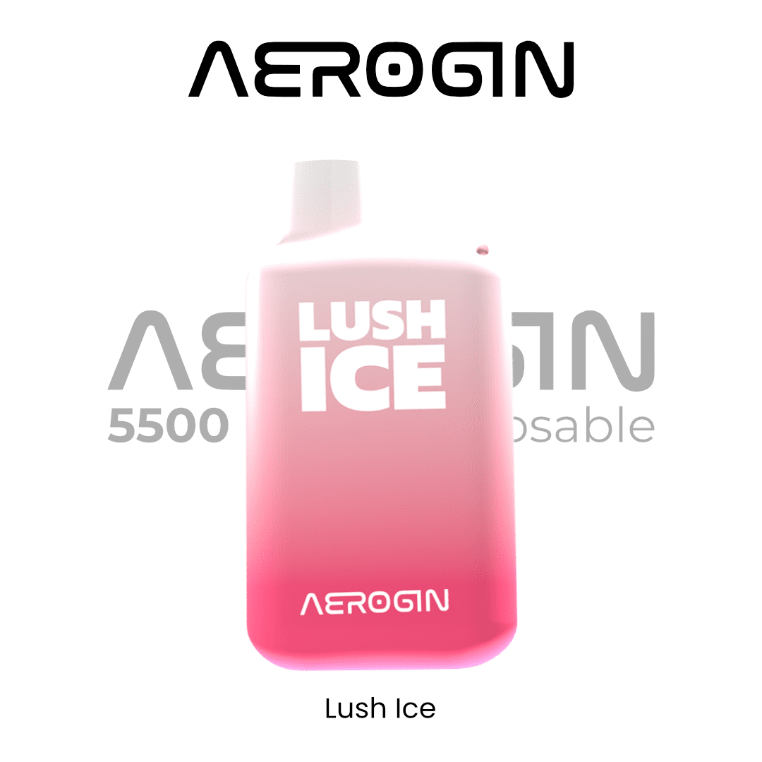 AEROGIN 5500 Puffs Rechargeable Disposable (By ViscoCity) | Vapors R Us LLC