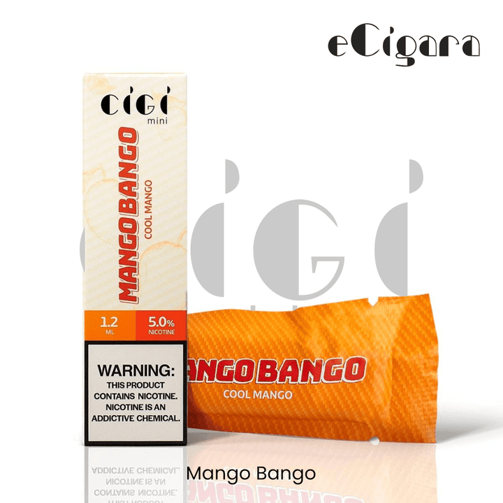 ECIGARA - CIGI Mini Disposable Pod | Vapors R Us LLC