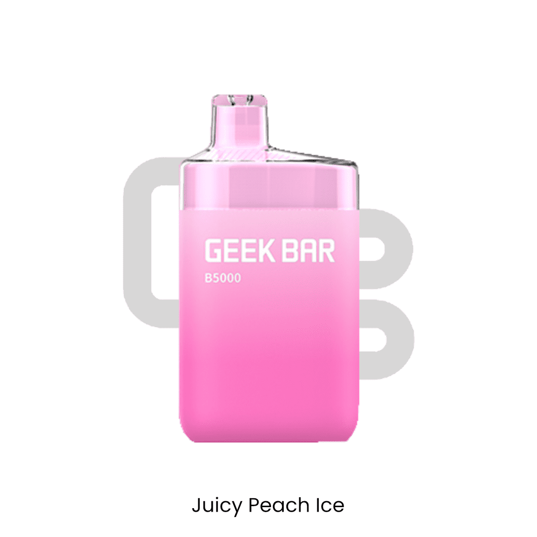 GEEK BAR - B5000 Rechargeable Disposable | Vapors R Us LLC