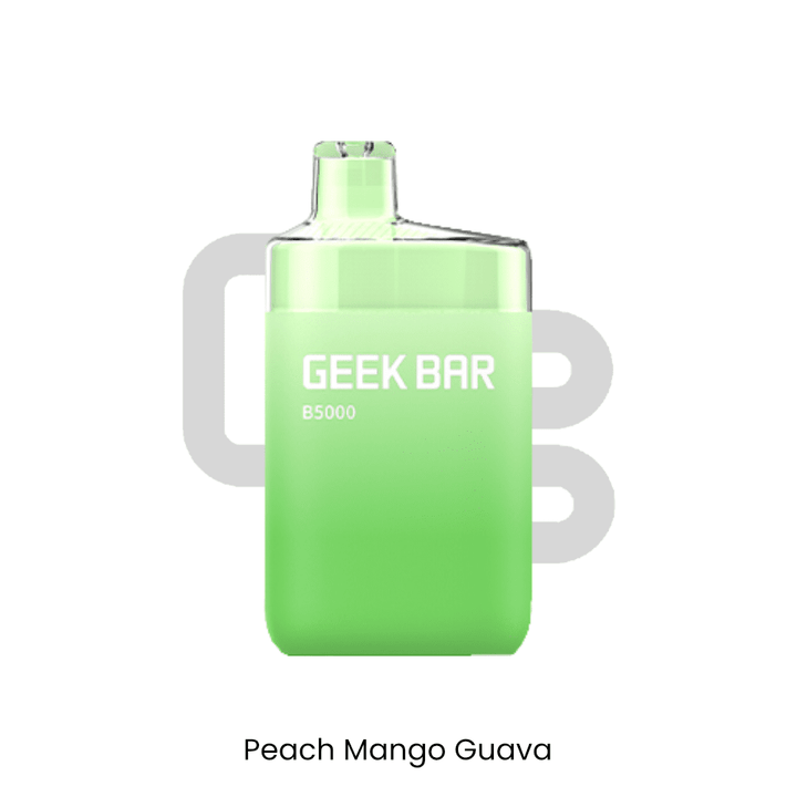 GEEK BAR - B5000 Rechargeable Disposable | Vapors R Us LLC