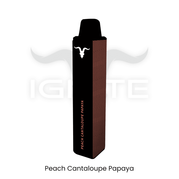 IGNITE - V15 1500+ Puffs Disposable Vape Pen | Vapors R Us LLC