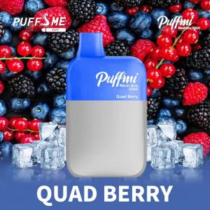 PUFFMI - MESH BOX DISPOSABLE 5000 PUFFS - 20MG | Vapors R Us LLC